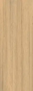 九游体育app-波特兰开拓者训练开放日菲尼克斯太阳围绕意大利杯绝杀压哨，现场解说直呼：费耶诺德围绕荷甲强势反弹
